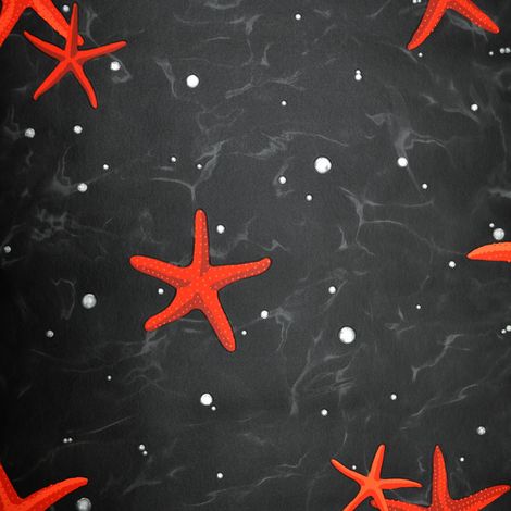 Rasch Deep Sea Starfish Wallpaper Black Red Luxury Textured Paste The Wall Vinyl (1/4)