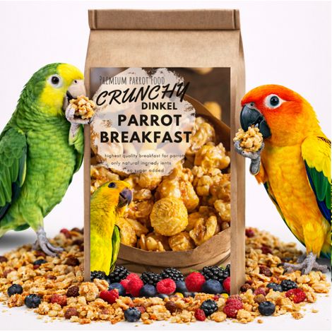 Petit-déjeuner croustillant pour perroquet Dinkel - Un plat pour le petit-déjeuner ou le déjeuner des perroquets, chaud ou froid, pour tous les perroquets, 100 g (1/4)