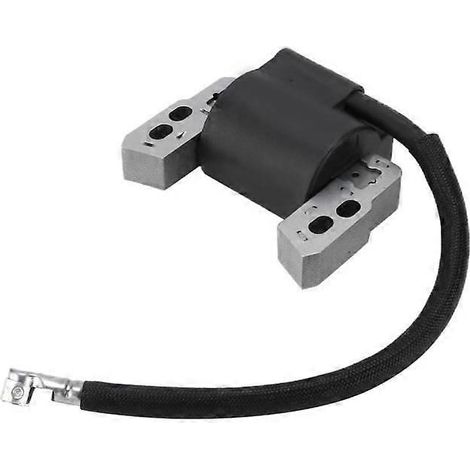 Module de bobine d'allumage moteur métallique Akozon 695711 802574 796964 Universel, compatible avec les moteurs
