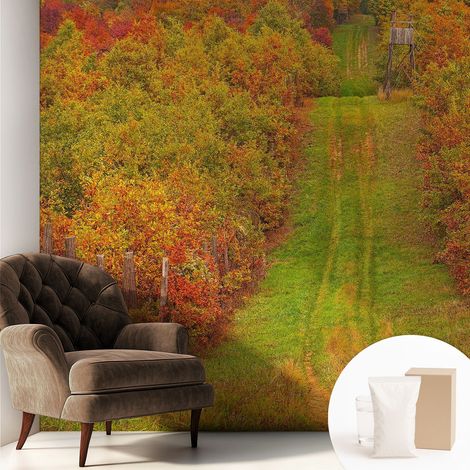 Tapete Vliestapete mit Kleber - abwaschbar - Tapete mit Motiv - trendige Wanddeko - elegant Fototapete Herbstfarben 250x250 cm (1/5)