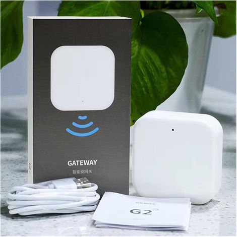 Serrure de porte intelligente Serrure de porte intelligente Tuya serrures d'empreintes digitales contrôle d'application biométrique empreinte digitale mot de passe poignée domestique serrure passerell (1/5)
