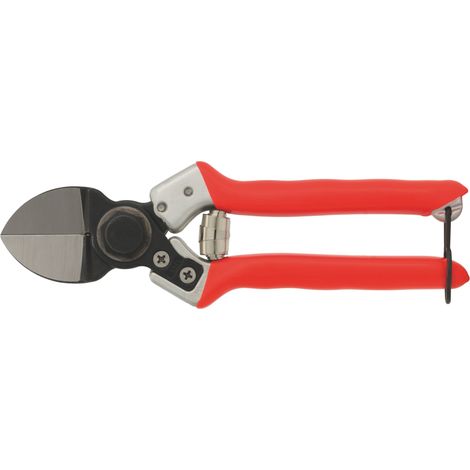Castellari FORBICI PER FRUTTETO LADY II cm. 21