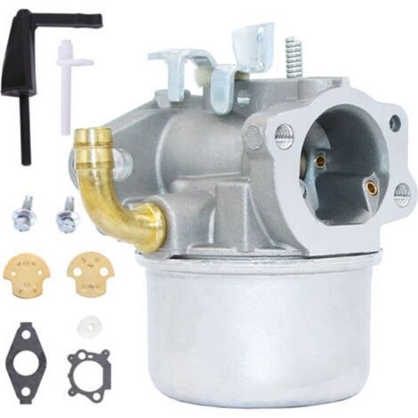 Compatibile con i carburatori Briggs & Stratton 798653, 697354, 790290, 791077, 698860. Con accessori.