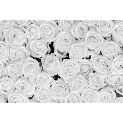 Papier peint panoramique blanc motif fleur 3D | Tapisserie panoramique fleurie blanche chambre adulte | Papier peint panoramique floral pour escalier - 267 x 400 cm (4 pièces) (1/3)