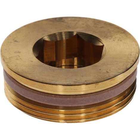 BOSCH Stopfen G1 1/2 SW22 mit PTFE-Ring EVERP, 8735101094
