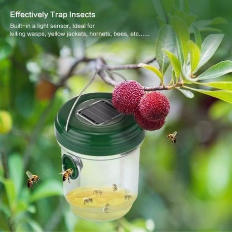 Lot de 2 Pièges à Mouche, Guêpes et Moustique Attrape Anti-Insectes, Frelons - Solaire avec Lumière LED Aa00049 (1/4)