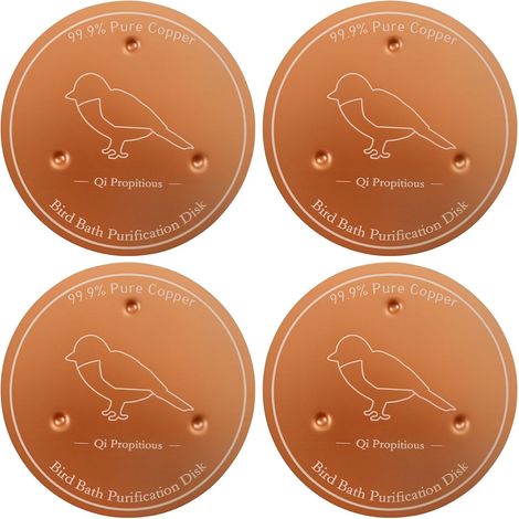 4 pièces Nettoyant pour bain d'oiseaux, plaque de cuivre, 10 cm, cuivre pur à 99,99 %, nettoyeur d'eau avec support stable à trois points, disque en cuivre résistant à la corrosion pour bain d'oiseaux (1/5)