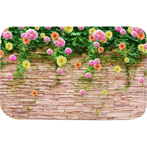 Tapis De Sol Antidérapant - En Flanelle Douce Absorbante - Pour Cuisine Salle De Bain Bureau - 40x60cm (1/5)