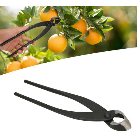 Pince biseautée Zhu Ji 280 mm pour la coupe de branches, la fente de tiges, la taille des bourgeons foliaires, la coupe de racines, la fente de branches, grandes, moyennes et petites tailles pour le s (1/5)