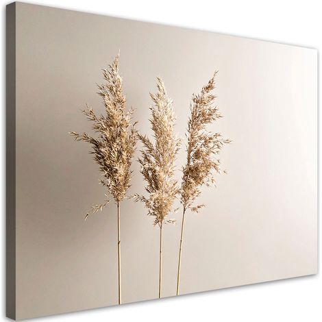 Wandbild Pampasgraspflanzen Natur Beige 90x60 cm (1/5)