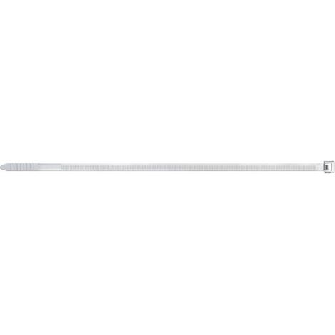 Brida nylon BN 2,5x120mm natural (Pack de 100 unidades) FISCHER
