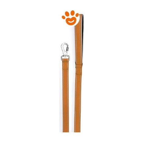 Camon Dog Guinzaglio Reflex - Arancione - Accessori