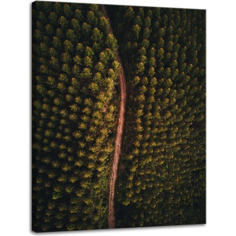 Lienzo impreso "Camino natural visto desde una perspectiva aérea" 30x40