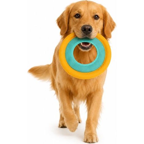 Frisbee pour chien – Ø23 cm – Doux – Flottant – Jouet extérieur – Résistant (1/5)