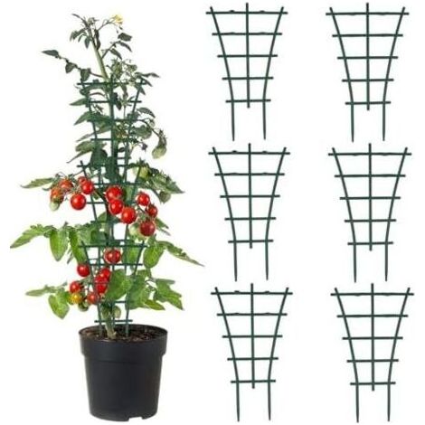 6 PCS Tuteurs Plantes D'intérieur Supports Réutilisables Et Durables Offrent Espace De Croissance Supplémentaire, Idéal Pots Fleurs Grimpantes - (1/5)