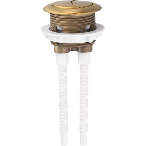 Bouton poussoir de chasse d'eau en ABS doré (1/5)