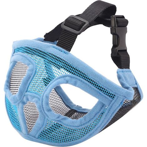 Filiyano-Muselière pour bouledogue taille L - Face bleue (1/5)