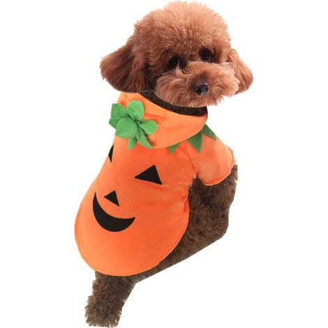 Vêtements d'automne et d'hiver pour chiens et chats, Costume de citrouille, robe de Cosplay pour animaux de compagnie, chiot, polaire chaude, à capuche (1/5)