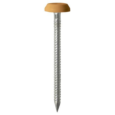 TIMCO Polymer Headed Nails A4 Stainless Steel Oak - 50mm