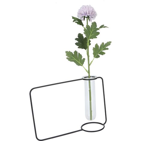 Vases suspendus innovants en forme de tube à essai transparent pour plantes hydroponiques d'intérieur, noirs (1/5)