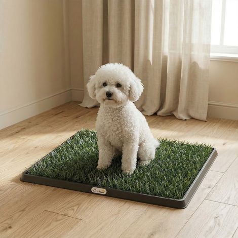 Tapis chien plateau Vert gazon artificiel 63x50,5 cm
