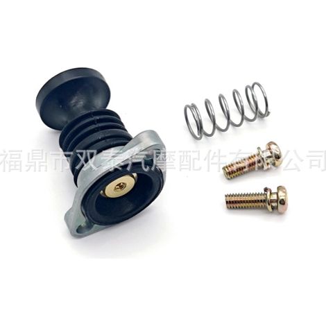 Kit de vis à ressort de pompe d'amorçage de carburateur en 2 pièces pour Honda TRX300 350 400 450 500 (1/4)