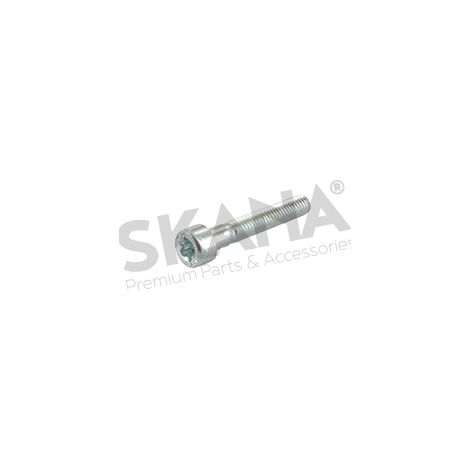 Tornillo STIGA 2135050