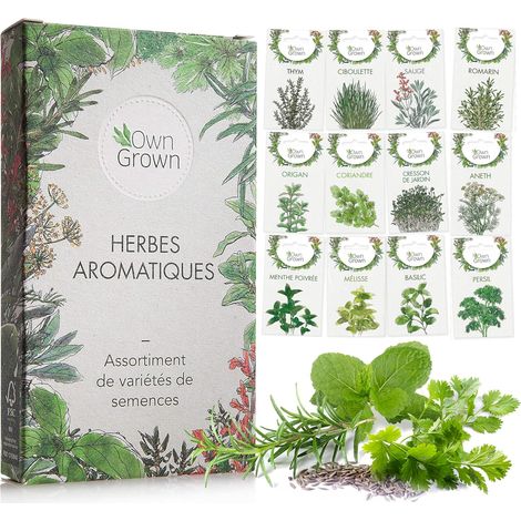 Kit de graines d‘Herbes aromatiques prêt à Pousser , 12 épices et aromates à Planter en Un kit Pratique, Naturelles pour Culture intérieure et extérieure (1/5)