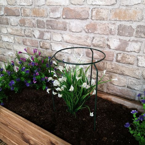 Tom Chambers Green Metal Herbaceous Garden Plant Support Ring Small (1/5)