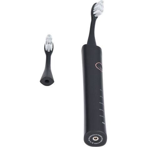 Brosse à dents électrique rechargeable USB, 5 modes de blanchiment, minuterie intelligente, 39000 vibrations/min