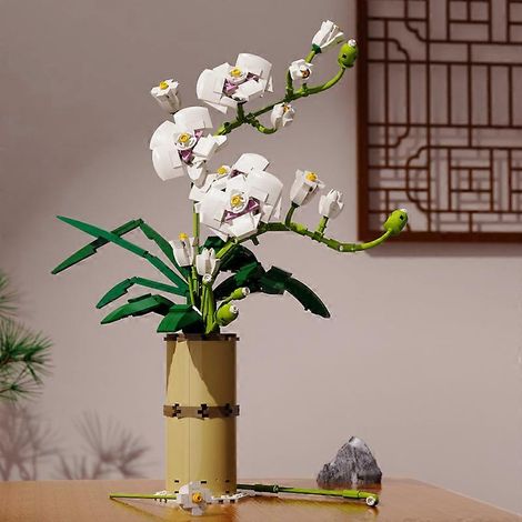 Phalaenopsis, Kit de Blocs de Construction de Bouquet de Fleurs Artificielles, Blocs de Construction pour les Fleurs, Cadeau Fte des Mres et Cadeau Fe