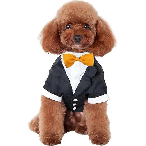 Veste noire pour chien de mariage automne hiver (1/5)