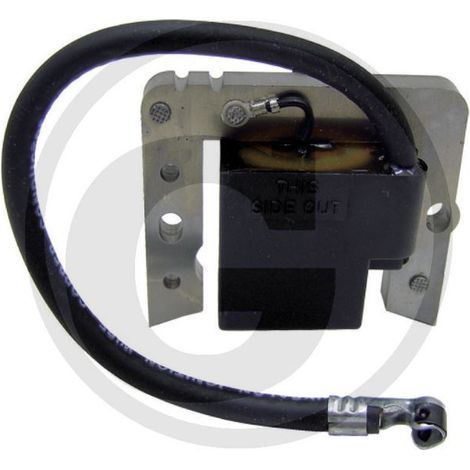 Bobina accensione elettrico rasaerba tagliaerba motore TECUMSEH 2030 055