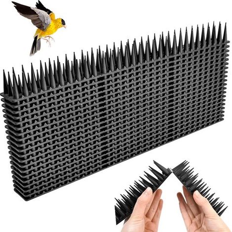 Set di 20 punte anti-piccioni in plastica trasparente (8,6 m) – Anti-piccioni e anti-gatti, adatte per balconi e finestre. (1/2)
