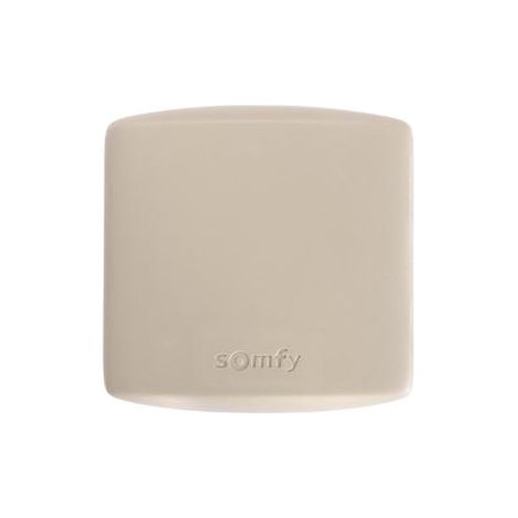 Ricevitore Rts Per Cancelli SOMFY 1841022