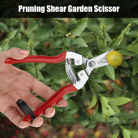 Hochleistungs-Gartenschere für Bonsai und Obstbäume, gebogene Klinge, Präzisions-Gartenwerkzeug, 1 Stück. (1/5)