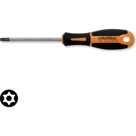 GIRAVITE TORX CON FORO TX 10X80