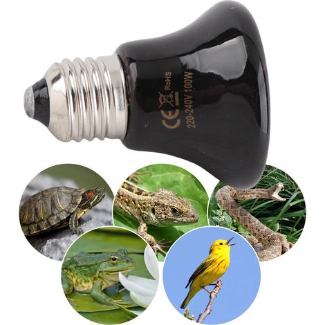 Lampe chauffante céramique Reptile mini Infrared Heat E27 pour Amphibiens Lizards Serpents Voltage 220V‑240V (1/5)