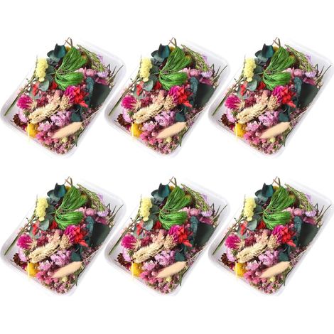 6 Boîtes de Fleurs Séchées Décoratives en Résine Époxy Plusieurs Styles, Légères et Compactes, pour Décoration Maison et Scrapbooking (1/5)