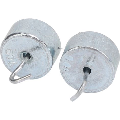 Lot de 2 poids de laboratoire à crochet double en acier chromé de 10 g avec étui, pour travaux de laboratoire de physique générale. (1/5)