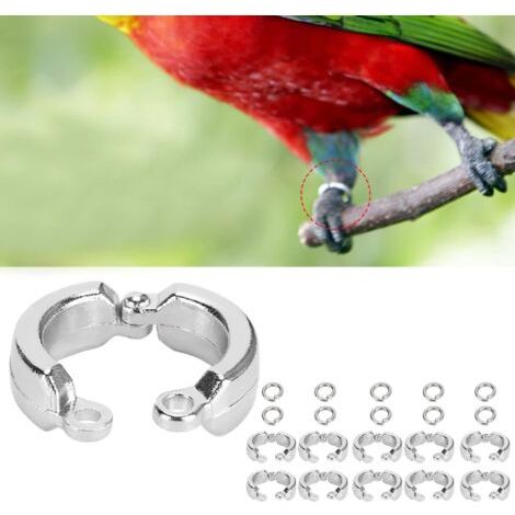 10 pièces Anneaux de Pied, d'oiseau Anneau de Jambe de Perroquet en métal Anneau de Jambe de Perroquet en Plein Air Oiseaux Extérieurs pour des perroquets (1/5)