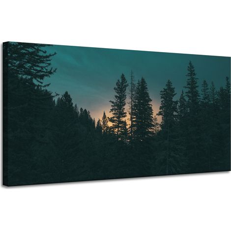 Leinwanddruck Natur Wald in der Abenddämmerung 120x60 cm Dunkelheit