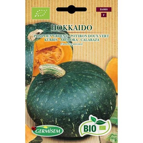 Bio Hokkaido Graines de Citrouille 2 g Multicolore