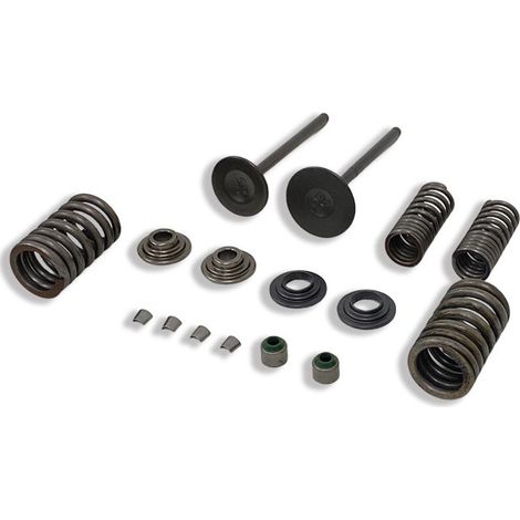 Ressorts de soupapes de moteur de moto adaptés aux soupapes, ressorts de soupapes et soupapes de retour des moteurs Honda CBF150, XR150, KTT150 et SDH150. (1/3)