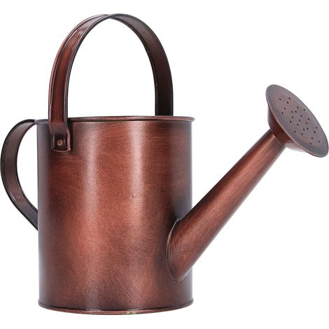 Arrosoir en fer 1,5L Mini 30x12cm Antirouille pour Jardin Intérieur Extérieur Plantes Fleurs Design Ergonomique Robuste (1/5)