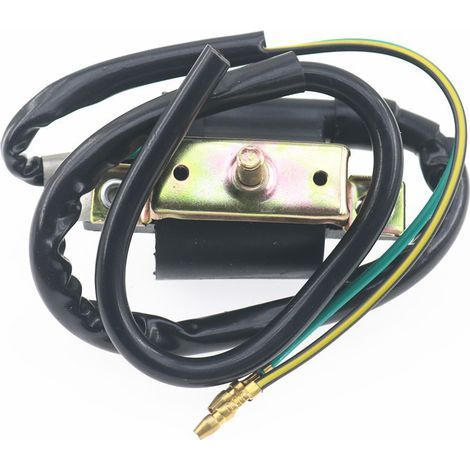 Hochspannungszündspule für JH70 DY100 Motorrad – Kompatibel mit 100-cm³-Jialing-Roller – Ersatz-Hochspannungszündspule für das Motorzündsystem (1/4)