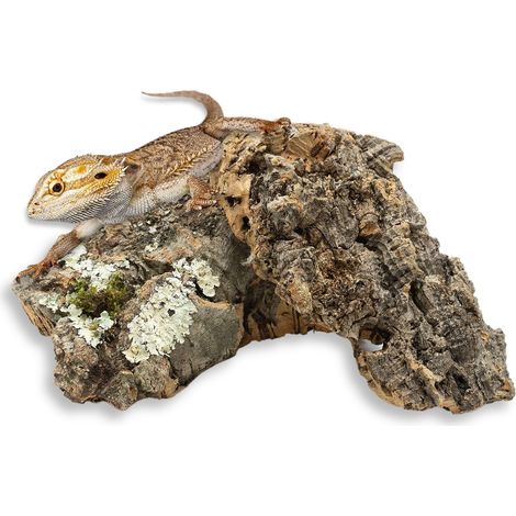BioCork Bits Corteccia di quercia da sughero in pezzi da 500 g (1/5)