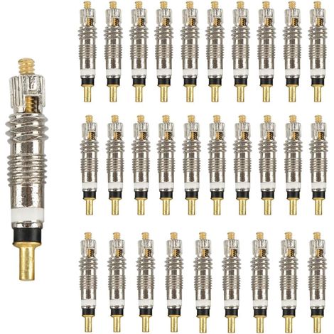 30 Pièces Valve De Noyau Vannes Presta Universel De Noyau Valve Pneumatique pour Tubeless Route Bike, Valve de Vélo, Noyau Valve De Pneu Valve Tubeless Vtt (1/5)