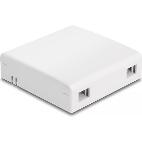 Delock Caja de conexiÃ³n de fibra Ã³ptica para montaje en pared para 2 x SC Simplex o LC Duplex blanco