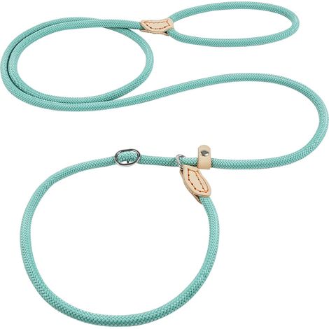 Laisse Éducative pour Chien, 1,8 m Nylon-beständiges Laisse (1/5)